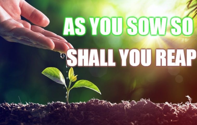 You Reap What You Sow Bible - Meaning and Explanation (2019)