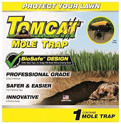 Best Mole Traps Reviewed